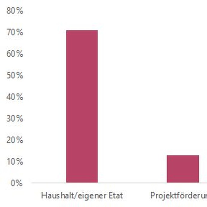 Grafik: Wie werden Ihre Sonderausstellungen mehrheitlich finanziert? (vergrößerte Bildansicht wird geöffnet)